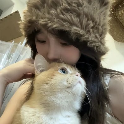 小野猫与斗牛犬